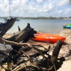 Pelican Sport Pulse 100X With Paddle Kayak 21 Pelican Sport Pulse 100X With Paddle Kayak -Pelican Shop KOS10P102 00 LS4