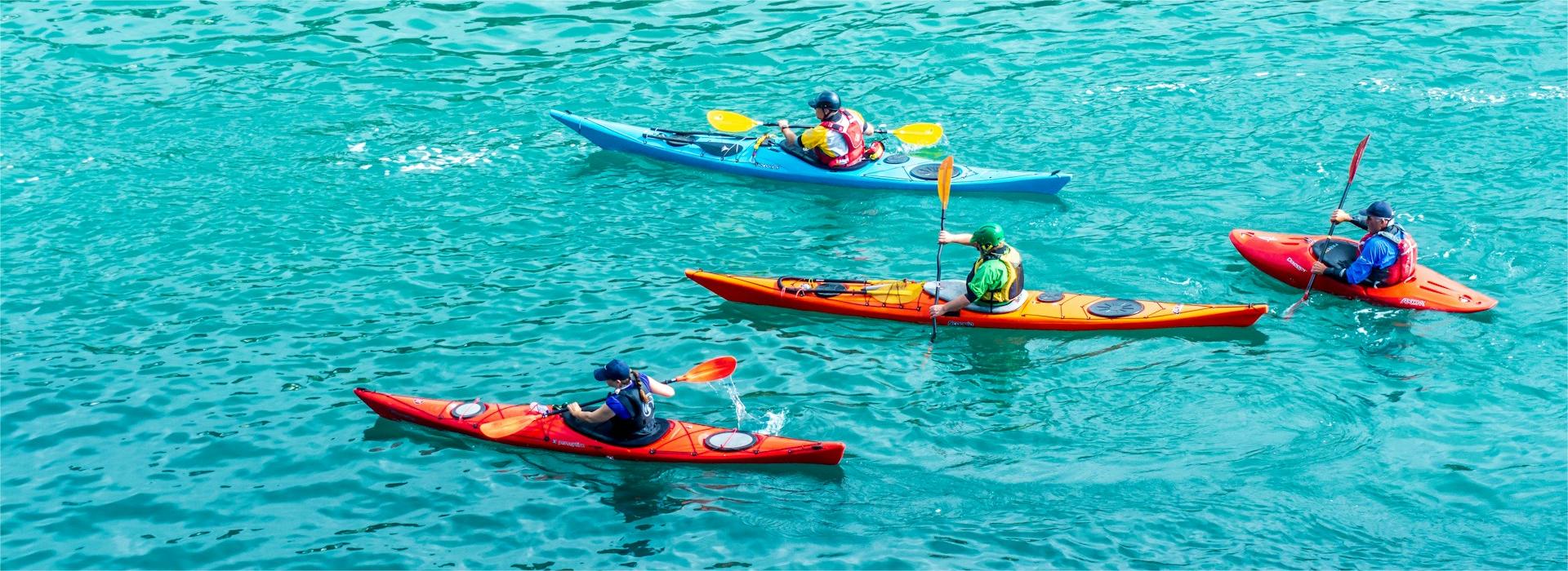 Pelican Shop -Pelican Shop brandon mcdonald oU62drqdho unsplash